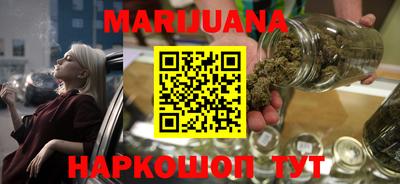 a pvp Славгород