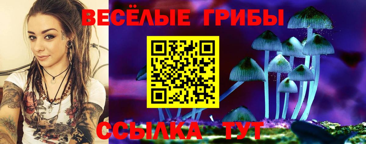 Новочебоксарск  Галлюциногенные грибы мицелий  Вход с VPN 