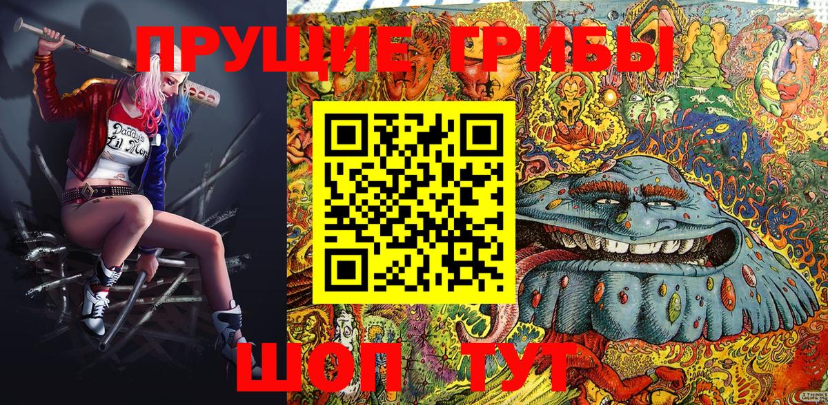Псилоцибиновые грибы Psilocybe Новочебоксарск